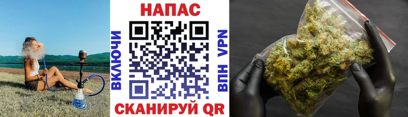 Бошки Шишки марихуана Нолинск